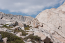 Mt. Whitney